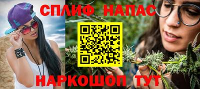 хмурый Дубна