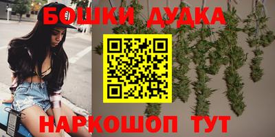 индика Донецк