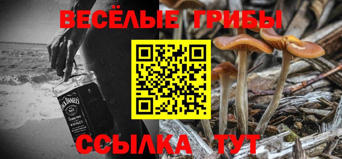 Псилоцибиновые грибы мицелий  Псилоцибиновые грибы прущие грибы  Вход с VPN  наркошоп  Истра 